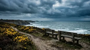 Fouesnant : le Club des Aînés lance des visites intergénérationnelles
