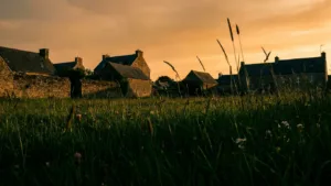 Fougères : la consultation citoyenne taille la part belle aux zones vertes dans le nouveau PLUi