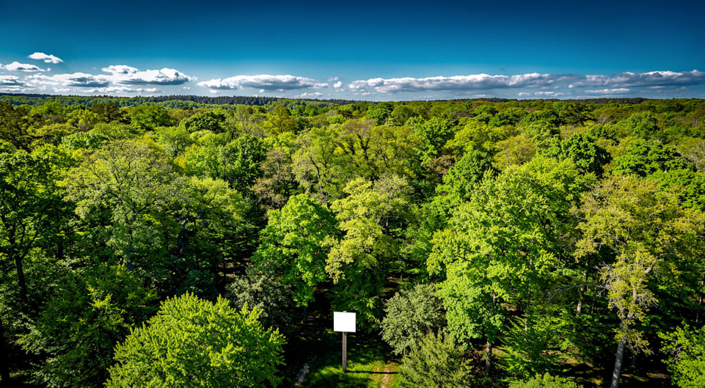G7 Environnement : Fontainebleau, symbole de la biodiversité devant les ministres