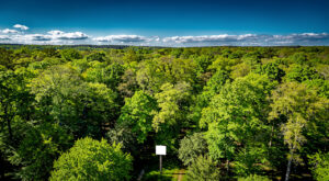 G7 Environnement : Fontainebleau, symbole de la biodiversité devant les ministres
