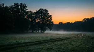 Genillé : la Course Forest passe à sa 3e édition avec 250 coureurs attendus