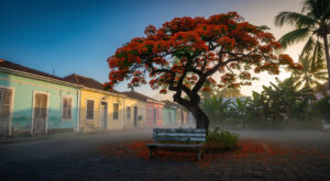 George Tarer, figure emblématique de la Guadeloupe, décède à 104 ans