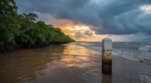 Guyane : un Haïtien ivre au volant expulsé, 180 reconduites depuis janvier
