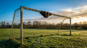 Haute-Vienne : un essaim d&rsquo;abeilles arrête un match de foot après 10 minutes