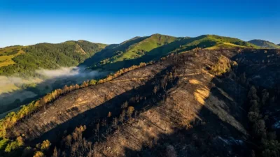Incendie à Larrau : 150 hectares ravagés, les pompiers maîtrisent le feu après 24 heures