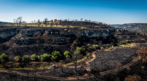 Incendie près de Cahors : 6 000 m² de végétation détruits, 21 pompiers mobilisés