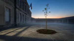 Journée de la Terre à Bourges : 1 000 arbres plantés avec les écoliers