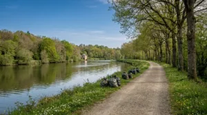 Juvigné : les habitants nettoient les berges de la Mayenne