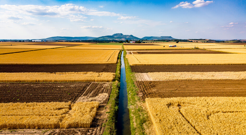 La Préfète du Puy-de-Dôme échange avec les agriculteurs sur l’eau et le climat à Saint-Saturnin