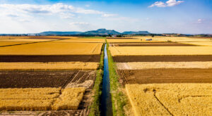 La Préfète du Puy-de-Dôme échange avec les agriculteurs sur l’eau et le climat à Saint-Saturnin