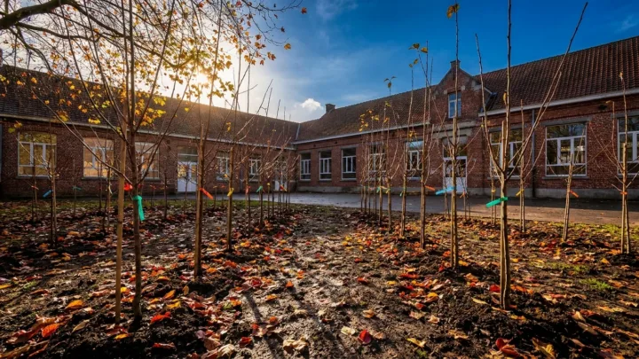 Lambersart : l'éducation à l'environnement s'installe durablement dans les écoles