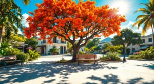 Le Lamentin consulte ses habitants sur l&rsquo;autonomie de la Martinique