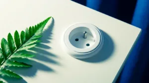 Le préfet de la Haute-Vienne visite Legrand à Limoges, géant de la transition énergétique