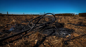 Lozère : un câble électrique déclenche un incendie, 30 ha brûlés et une colonie évacuée