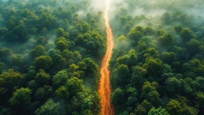 Macouria : un site d'orpaillage illégal découvert près de la rivière