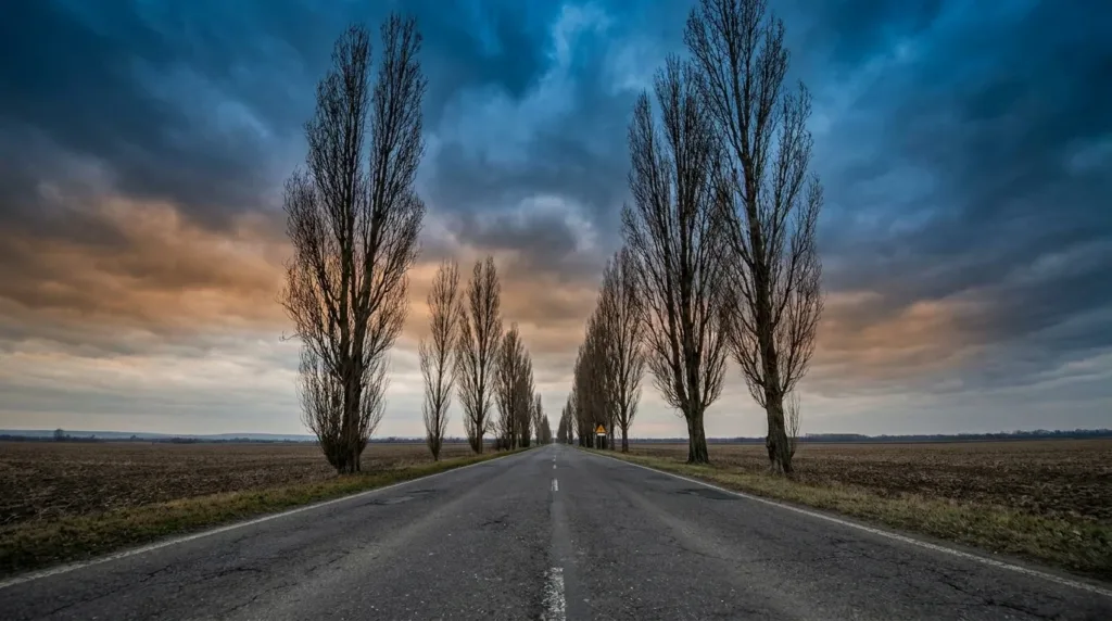 Malaise cardiaque au volant : un homme de 79 ans meurt près de Vendôme