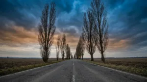 Malaise cardiaque au volant : un homme de 79 ans meurt près de Vendôme