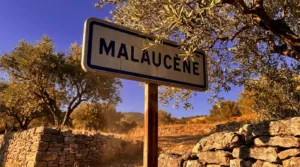 Malaucène accueille un forum sur l&rsquo;intégration des nouveaux arrivants