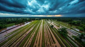 Mana : consultations gratuites pour la santé mentale des agriculteurs
