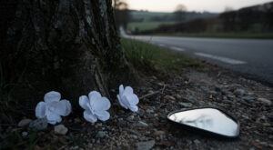 Marne : quatre adolescents tués dans une sortie de route à Mairy-sur-Marne