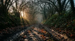 Montilly Sports Nature Festival : plus de 2500 coureurs pour une 6e édition record