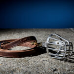 Oise : un enfant de 10 ans gravement mordu par deux Cane Corso en forêt, enquête ouverte