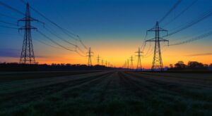 Osny : un jardin partagé en permaculture pour gagner en autonomie alimentaire