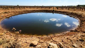 Pannier-Runacher dans l'Hérault : irrigation et souveraineté alimentaire au programme