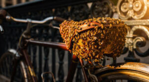 Paris : 10 000 abeilles sous une selle de vélo près du Louvre, évacuées sans incident