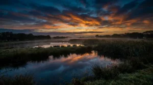 Périers : des jeunes mobilisés par l&rsquo;art pour défendre les zones humides