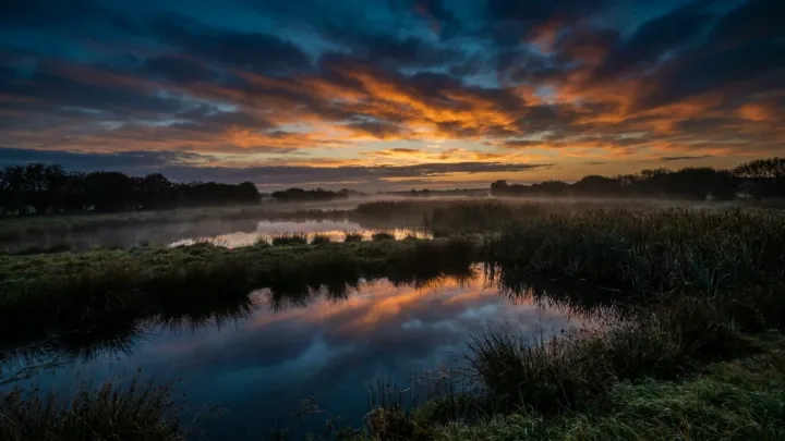 Périers : des jeunes mobilisés par l'art pour défendre les zones humides