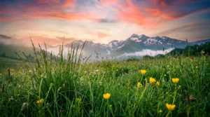 Pesticides : 200 militants mobilisés à Lourdes pour une agriculture sans chimie