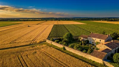 Pesticides près des maisons : une médiation lancée à Neuville-de-Poitou