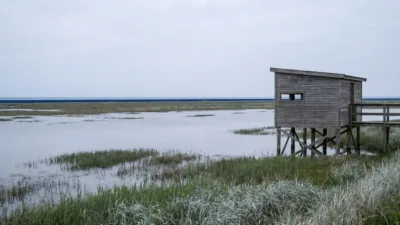 Platier d'Oye : le printemps relance l'observation des migrateurs