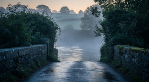 Plémet : une voiture plonge dans le Lié de nuit, la conductrice secourue indemne