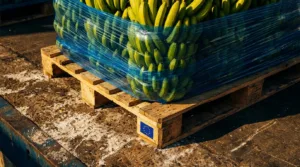 Pointe-Noire : le port s&rsquo;agrandit pour muscler les exportations de fruits