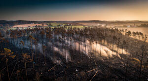 Premier feu de forêt de 2026 en Charente-Maritime : 4 hectares de pins brûlés à Montlieu-la-Garde