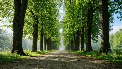 Printemps à Noisy-le-Grand : les parcs départementaux profitent du beau temps