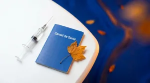 Puteaux : vaccination grippe 2025-2026, priorité aux seniors