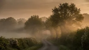 Qualité de l&rsquo;air dégradée en Mayenne ce mardi : pollens et ozone en cause