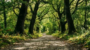 Quimperlé : un atelier environnement réunit familles et enfants