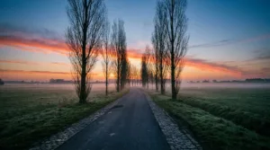 Race Across Paris : Chantilly accueille la 5e édition de l&rsquo;ultra-cyclosportive