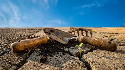 Renazé veut transformer la place de l'Europe en jardin partagé