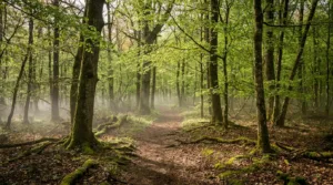 Reugny lance ses premières Foulées de la Brenne le 26 avril