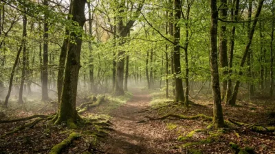 Reugny lance ses premières Foulées de la Brenne le 26 avril