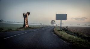 Roclincourt : deux jeunes hospitalisés après un choc violent contre un arbre sur la N17