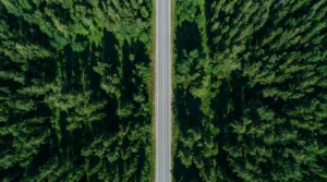 Route de forêt illégale à Pont-Sainte-Maxence : la justice confirme en appel
