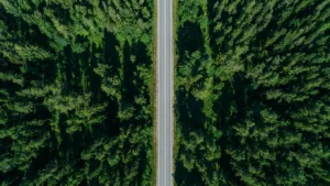 Route de forêt illégale à Pont-Sainte-Maxence : la justice confirme en appel