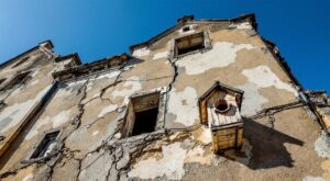 Saint-Étienne : le moineau domestique perd ses logements et sa nourriture