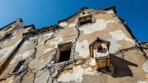 Saint-Étienne : le moineau domestique perd ses logements et sa nourriture